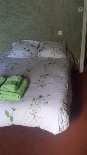 Bed & Breakfast Le Curieux