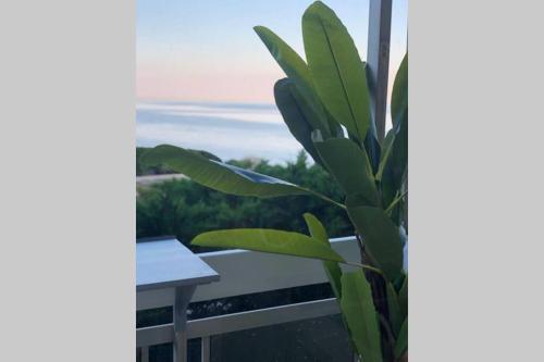 Apartamento Charmant Studio Avec Terrasse Vue Mer � 50 M