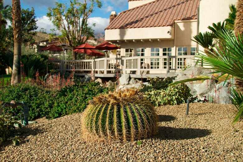 Hotel The Oasis Resort