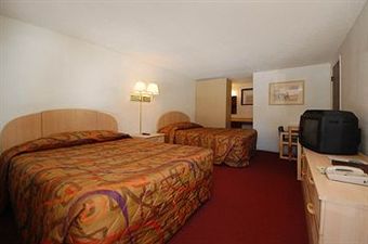 Motel In The Pines