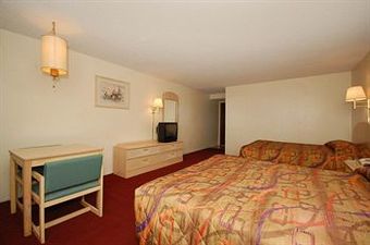 Motel In The Pines