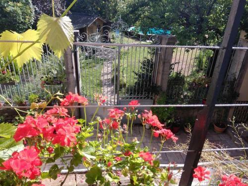 Bed & Breakfast Le Patio Gironnais