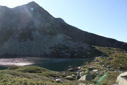 Bed & Breakfast Le Patio Gironnais