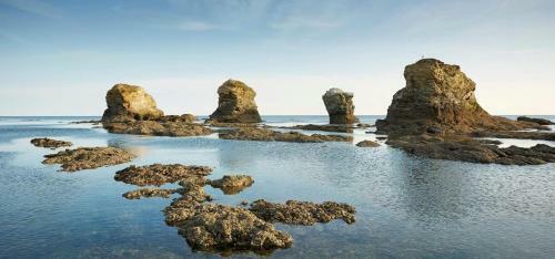 Apartamento Appart Bord De Mer 6 Places