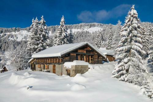 Immobilier De Montagne - La Collection - Le Glacier