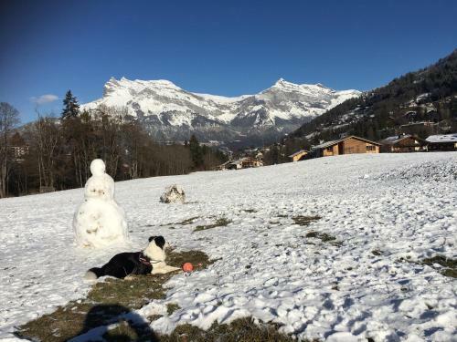Apartamento Le R�ve De Lou Et Balou