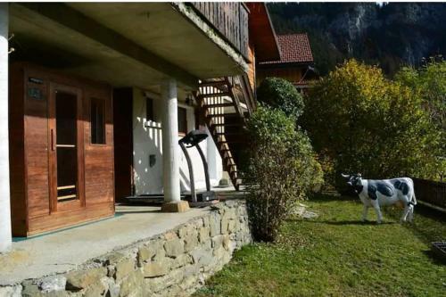 Chalet - Terrace And Mountain View