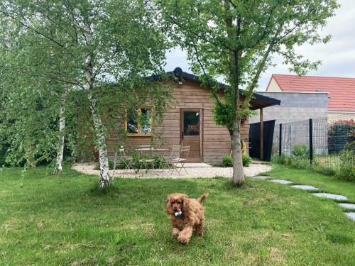Chalet Proche Orleans Centre