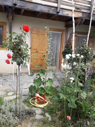 Apartamento Petit Appartement En Montagne