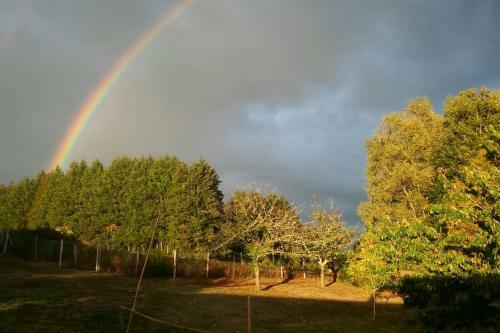 Le Petit Paradis, Mini Maison,nature,confort,calme