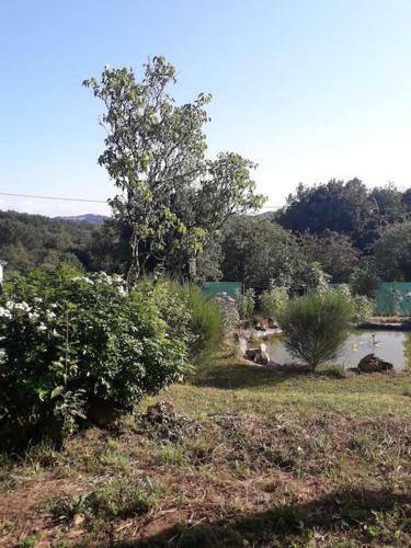 Le Petit Paradis, Mini Maison,nature,confort,calme