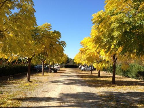 Mas De Cadoule