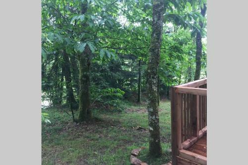 Adorable Chalet Dans Un Espace Bois�
