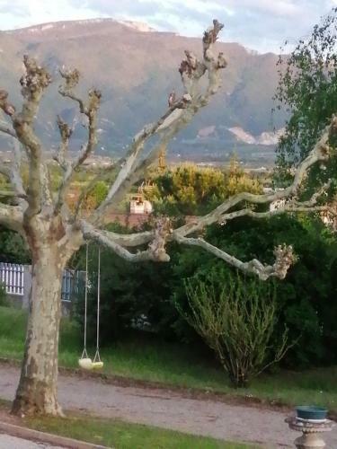Gite Des Reguinelles