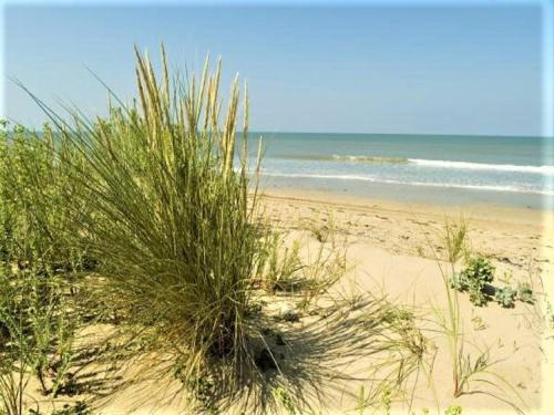 Mobil Home 2 Chambres