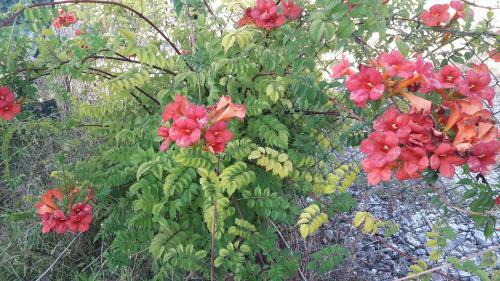 G�te Vert'nature