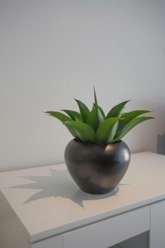 Apartamento Joli Studio Avec Jardin Bord De Mer