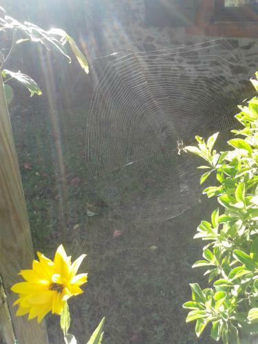 Bed & Breakfast L'instant Jardin