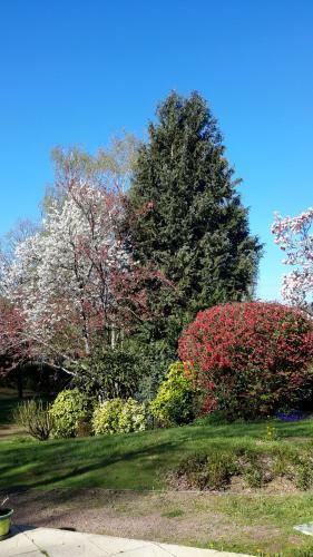 Bed & Breakfast Domaine De La Petite Salamandre