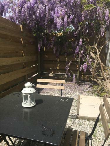 Maison T2, 4 �toiles, Lac De Christus