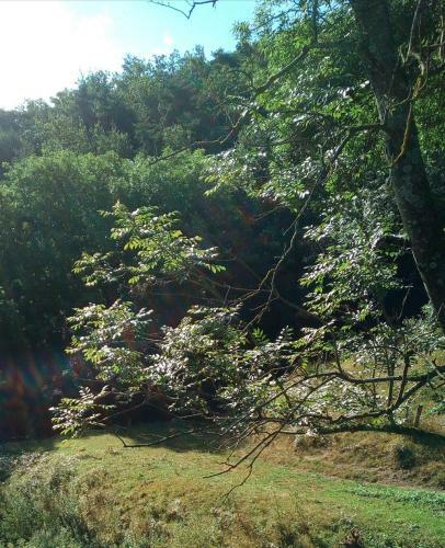 Agroturismo Ferme De Samson