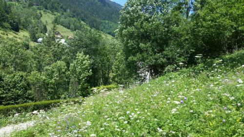 Apartamento Le Bois Des Li�vres