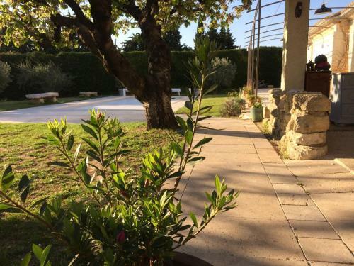Le Mazet Des Joncs En Provence