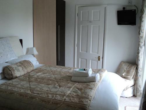 Hostal The White Lodge