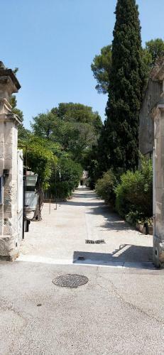 Apartamento St Remy de Provence - Proche Centre Ville