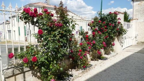 Bed & Breakfast La Rochelle Et L'aunis