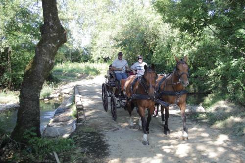 Bed & Breakfast Le Mas De La Coste