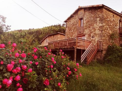 Apartamento Le Grand Bayle - Oasis Naturelle