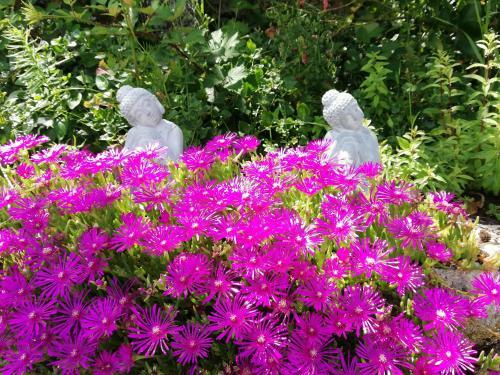 Apartamento Le Grand Bayle - Oasis Naturelle