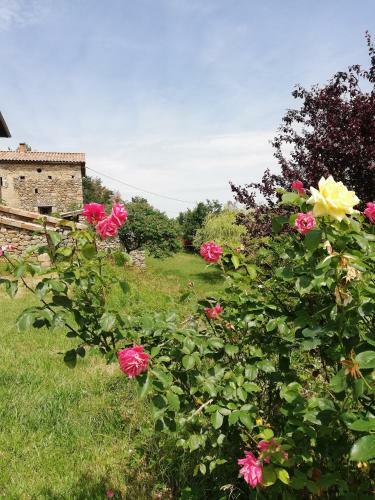 Apartamento Le Grand Bayle - Oasis Naturelle