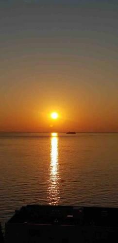 Apartamento Bastia Appartement Face A La Mer � 100 M