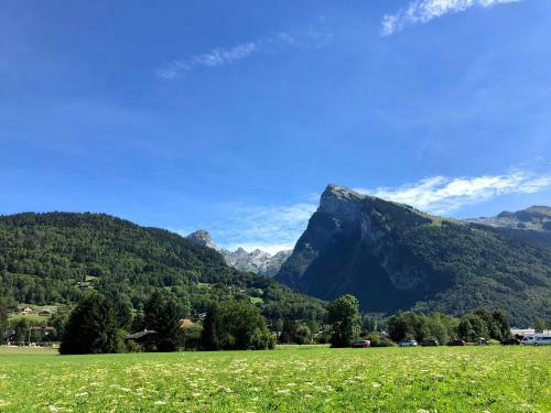Apartamento Appartement En Hyper Centre De Samo�ns
