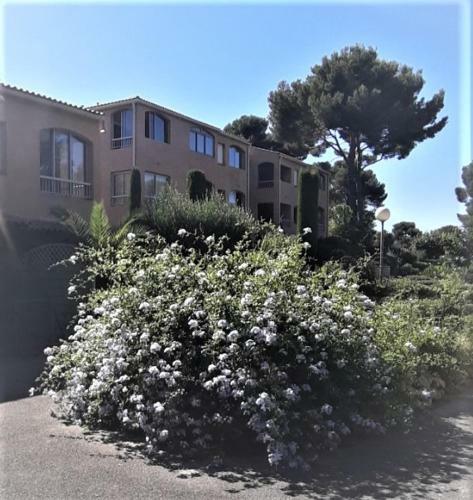 Apartamento Or�e Des Pins Appartement Avec Terrasse
