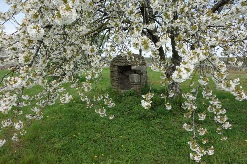 Bed & Breakfast Les Hirondelles Du Moulin