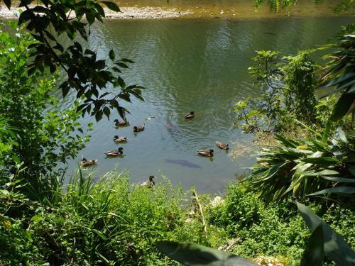 Bed & Breakfast Logis Des Magnans - Le Murier -