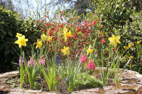 Bed & Breakfast Le Jardin Sarlat