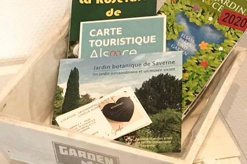 Apartamento Casavernoise O Sonho