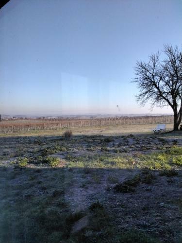 Bed & Breakfast Le C?ur Du Breuil