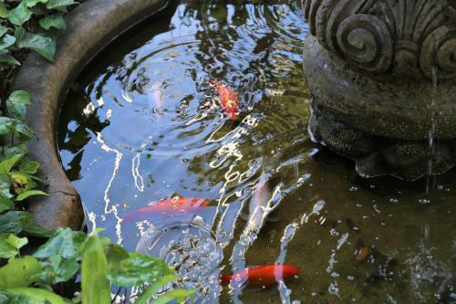 Manor House Boutique Hotel