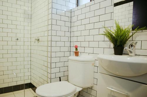 Albergue Alfred Park Accommodation