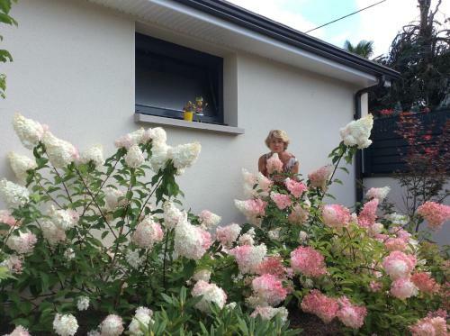 Bed & Breakfast Du C�t� De Chez Paule