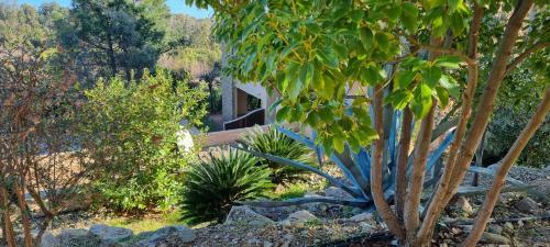 Apartamento Appartement Vue Mer