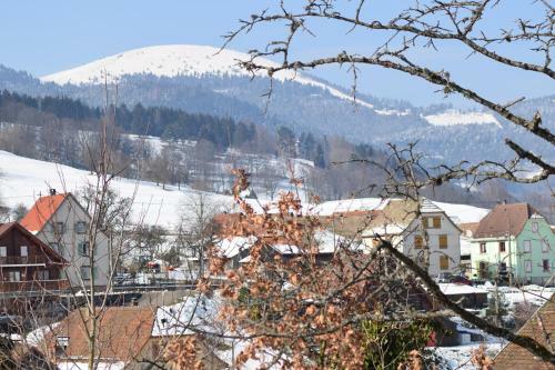 Apartamentos La Marguerite 3ch Et Le Panoramic 2ch � Sondernach
