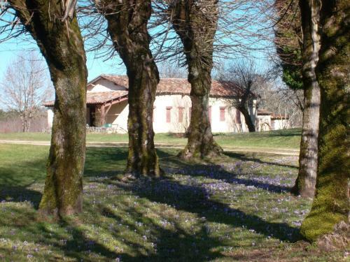 La Loge Du Chateau