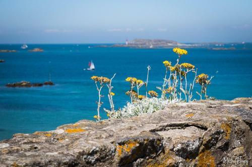 Hostal La Vall�e Du Launay