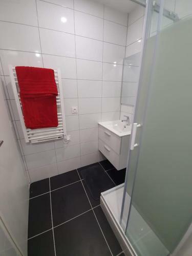 Apartamento Charmant Petit F1